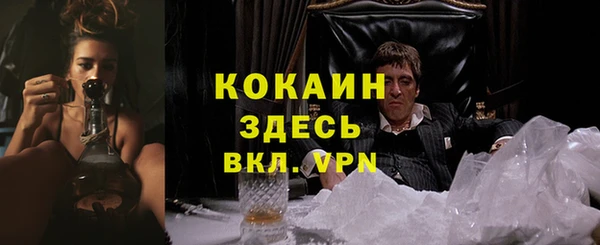 a pvp Аркадак